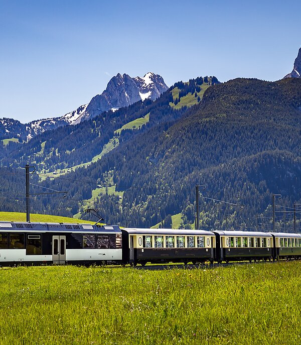 Ein blau-schwarzer Zug fährt durch eine grüne Wiese im Hintergrund noch verschneite Berge.