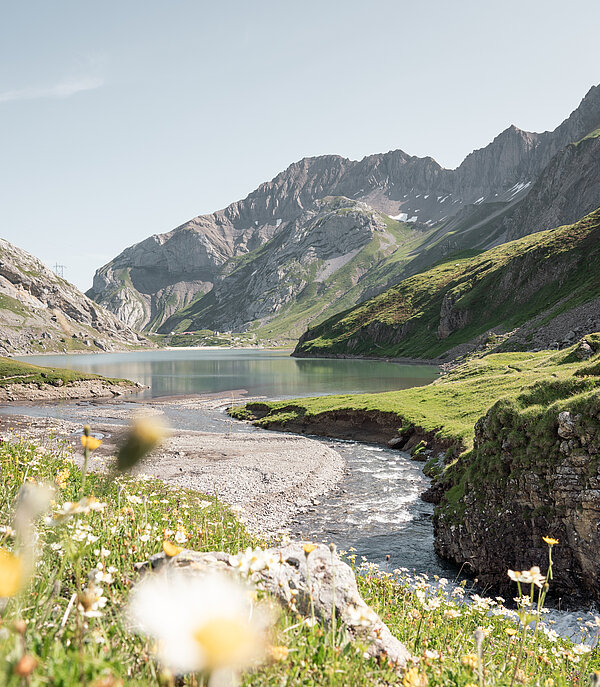 Ein Fluss, welcher in einen See fliesst umgeben von einer schönen Berglandschaft mit vielen Blumen.