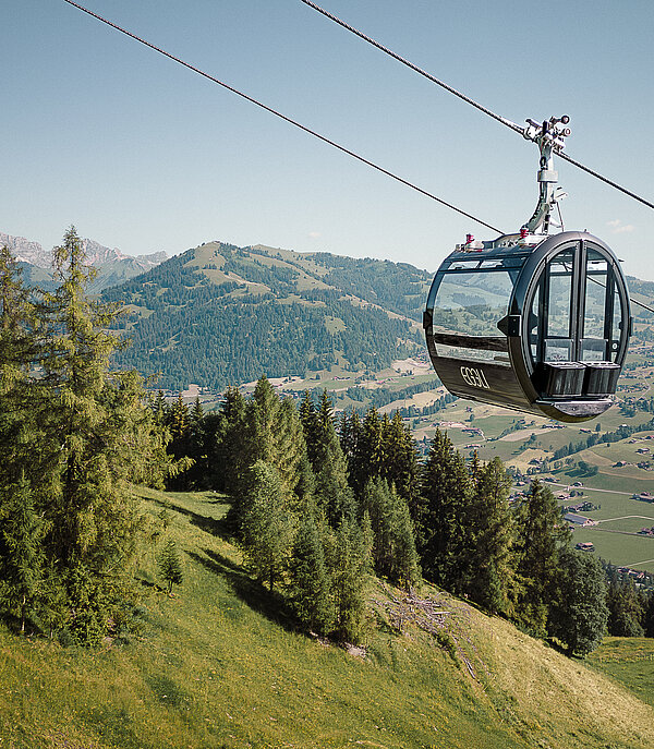 Gondelbahn Eggli im Sommer