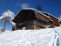 Un bâtiment et un arbre sous la neige.