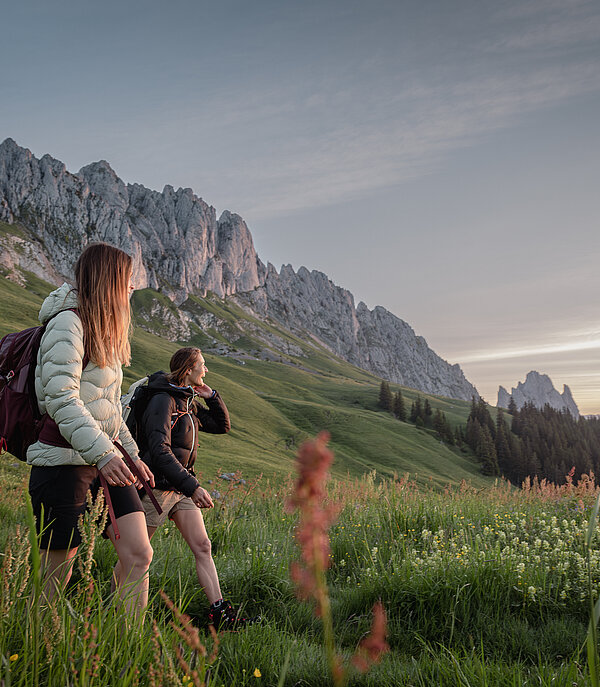 Zwei Personen wandern in einer blühenden Wiese unterhalb einer imposanten Bergwand dem Horizont entgegen.